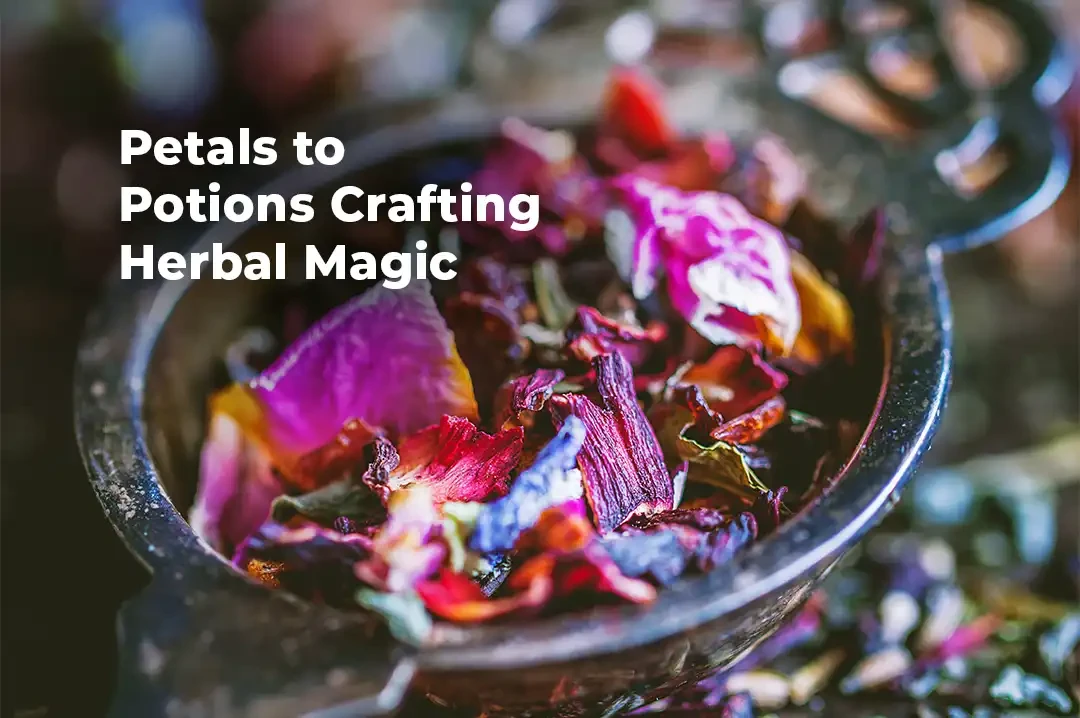 From Petals to Potions: The Art of Apsara's Herbal Infusions